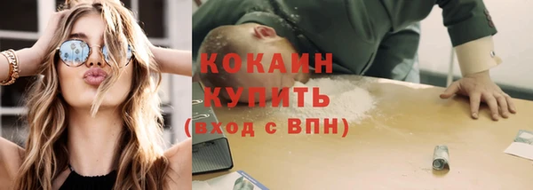 бошки Пересвет