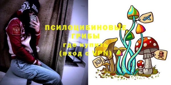 бошки Пересвет
