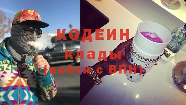 бошки Пересвет